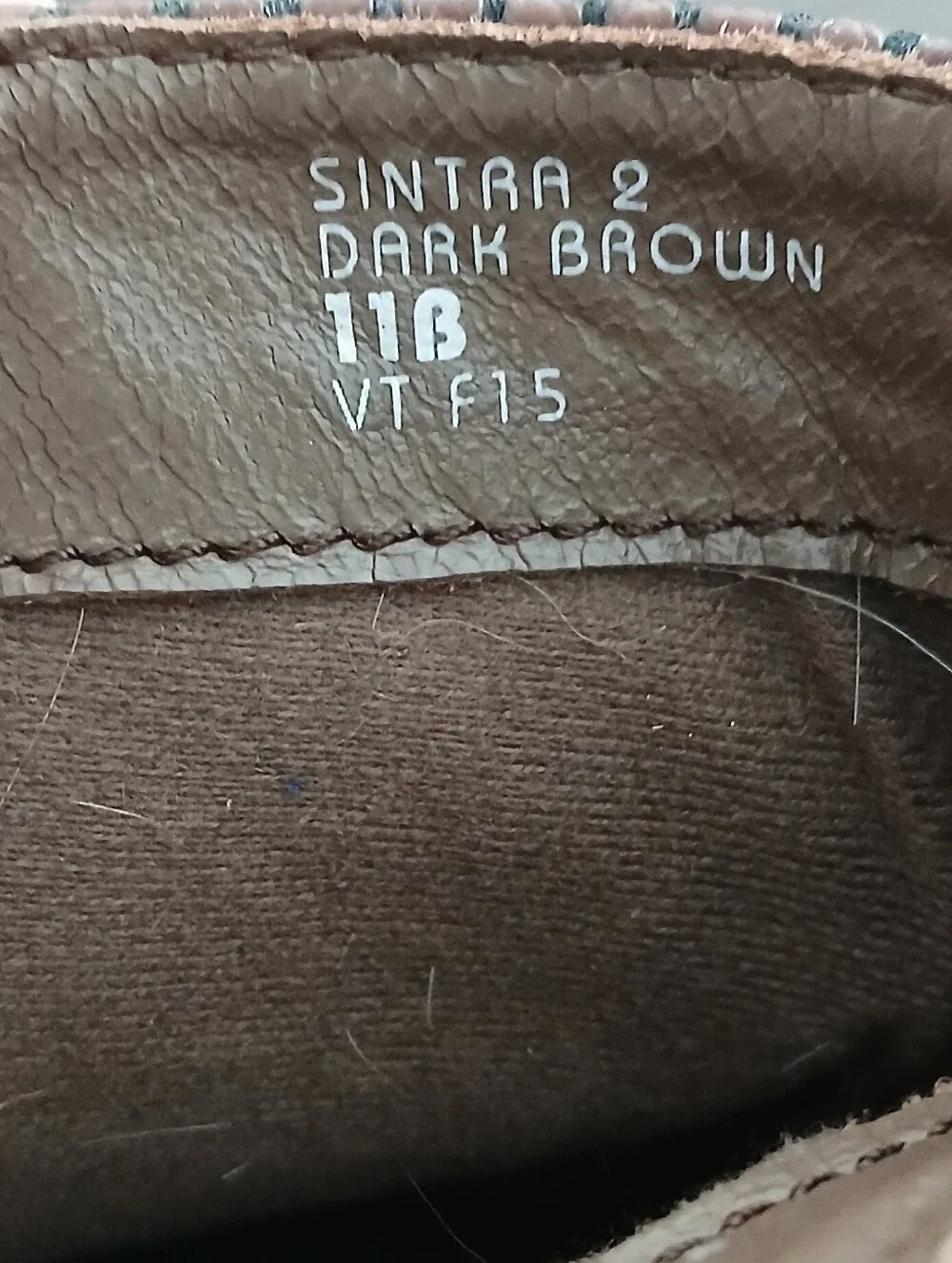 Earthies Dark Sintra 2 Brown Wonen's Leather Zipper Ankle Boots Size 11 B.